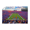 Florida Gators - Steve Spurrier Field - College Wall Art #Wall Decal