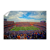 Florida Gators - Gators Half Time - College Wall Art #Wall Decal