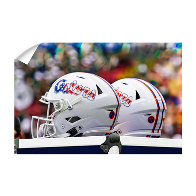 Florida Gators - USA Helmets - College Wall Art #Wall Decal