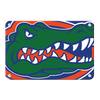 Florida Gators - Gator - College Wall Art #Metal