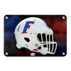 Florida Gators - Florida Helmet - College Wall Art #Metal