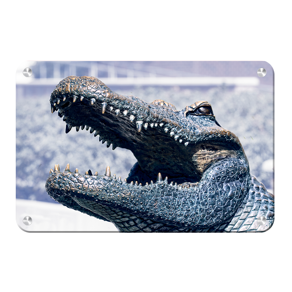 Florida Gators - Bull Gator Up Close - College Wall Art #Canvas