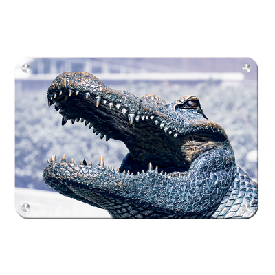 Florida Gators - Bull Gator Up Close - College Wall Art #Metal