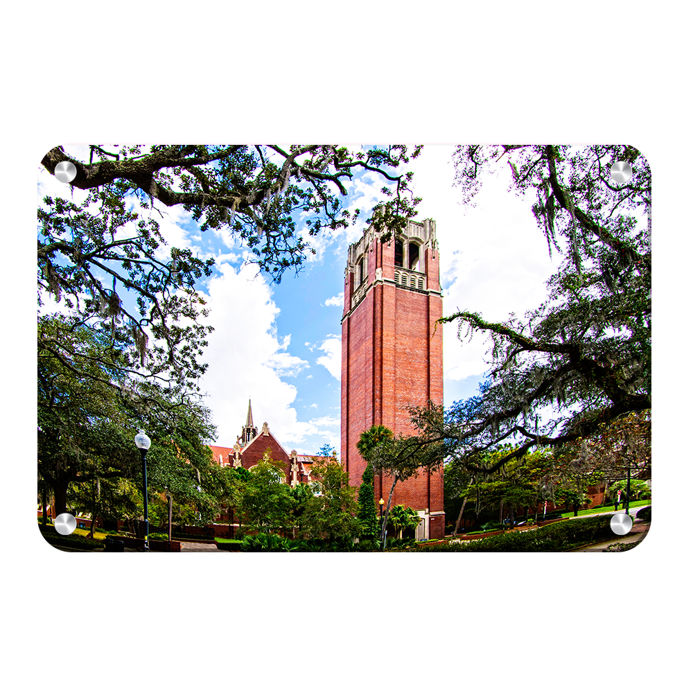 Florida Gators - Century Tower - College Wall Art #Canvas