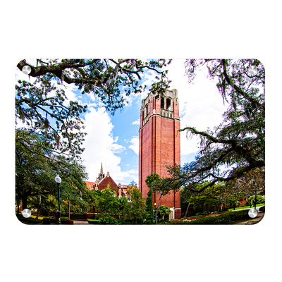 Florida Gators - Century Tower - College Wall Art #Metal