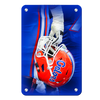 Florida Gators - Warrior - College Wall Art #Metal