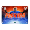 Florida Gators - Florida Gators - College Wall Art #Metal