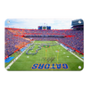 Florida Gators - Pride of the Sunshine- College Wall Art #Metal