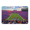 Florida Gators - Steve Spurrier Field - College Wall Art #Metal