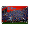 Florida Gators - In the Swamp - College Wall Art #Metal