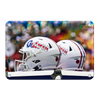 Florida Gators - USA Helmets - College Wall Art #Metal