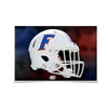 Florida Gators - Florida Helmet - College Wall Art #Poster