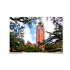 Florida Gators - Century Tower - College Wall Art #Poster