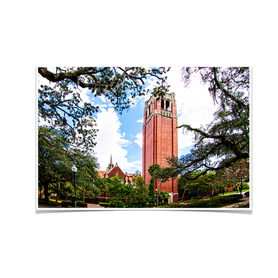 Florida Gators - Century Tower - College Wall Art #Poster