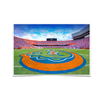 Florida Gators - Gators Mid Field - College Wall Art #Poster