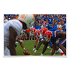 Florida Gators - Gator Line - College Wall Art #Poster