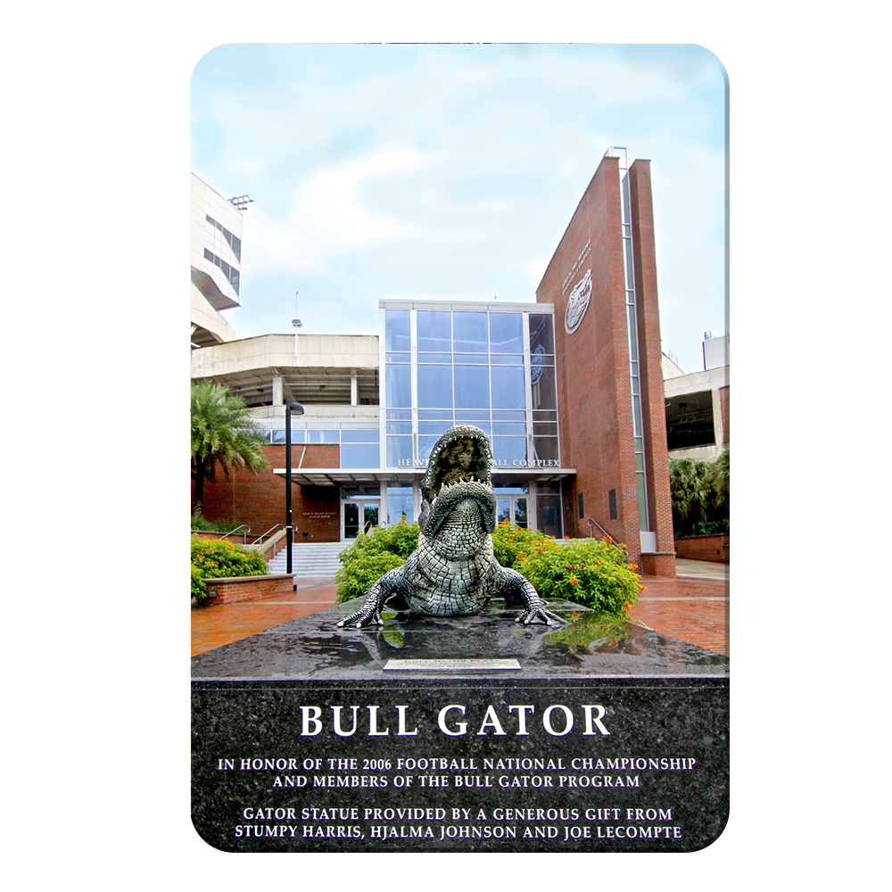 Florida Gators - Bull Gator - College Wall Art #Canvas