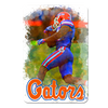 Florida Gators - Gator Run - College Wall Art #PVC