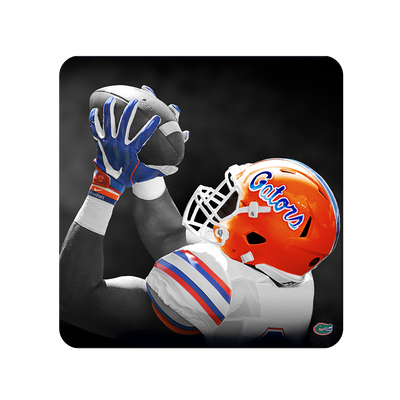 Florida Gators - The Catch - College Wall Art #PVC