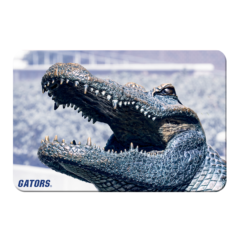 Florida Gators - Bull Gator Up Close - College Wall Art #Canvas