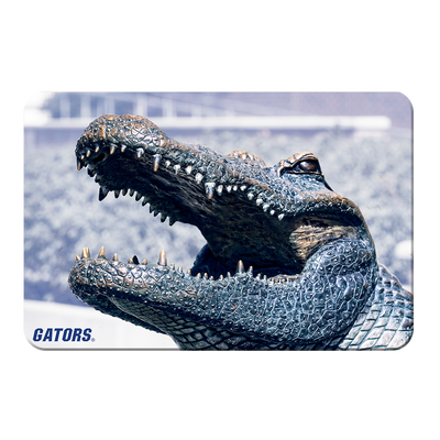 Florida Gators - Bull Gator Up Close - College Wall Art #PVC