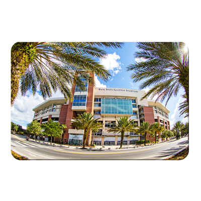 Florida Gators - Fisheye View Ben Hill Griffin Stadium - College Wall Art #PVC