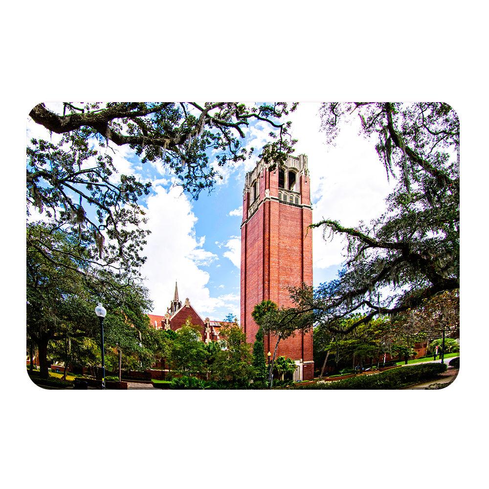 Florida Gators - Century Tower - College Wall Art #Canvas