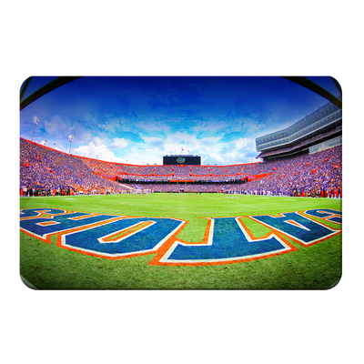 Florida Gators - Swamp End Zone - College Wall Art #PVC