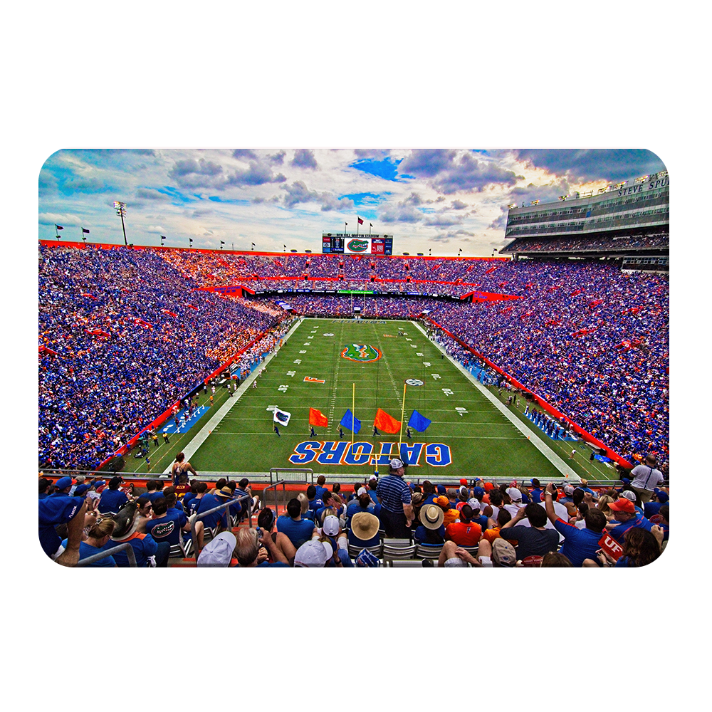 Florida Gators - Steve Spurrier Field - College Wall Art #Canvas