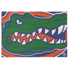 Florida Gators - Gator - College Wall Art #Wood