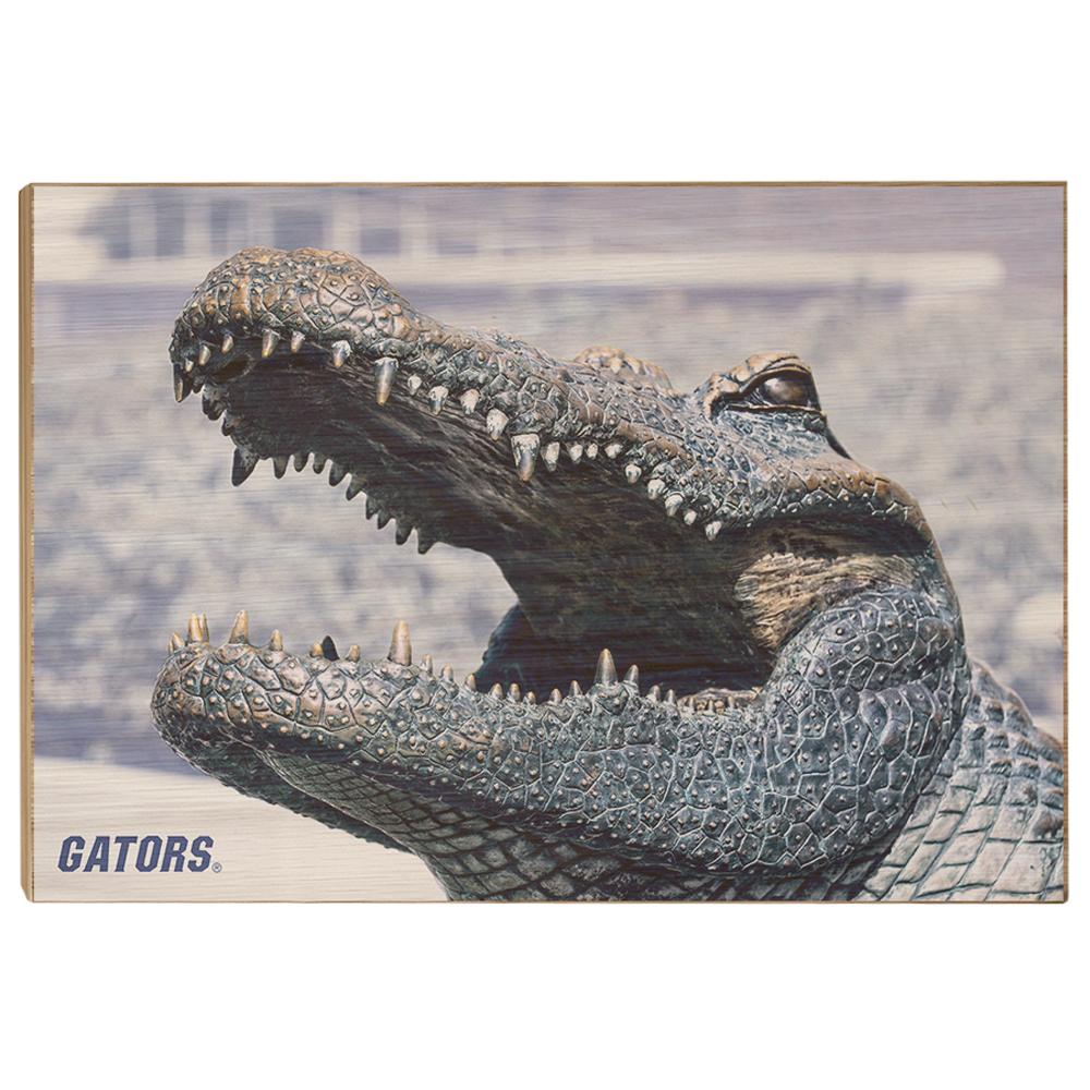 Florida Gators - Bull Gator Up Close - College Wall Art #Canvas