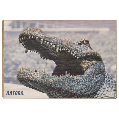 Florida Gators - Bull Gator Up Close - College Wall Art #Wood