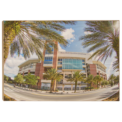 Florida Gators - Fisheye View Ben Hill Griffin Stadium - College Wall Art #Wood