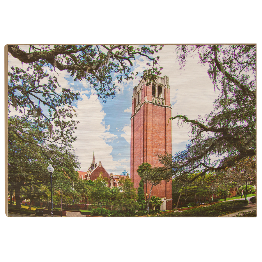 Florida Gators - Century Tower - College Wall Art #Canvas