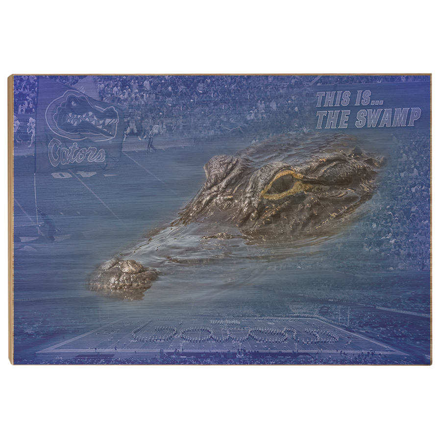 Florida Gators - Gator Swamp - College Wall Art #Canvas