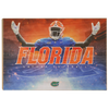 Florida Gators - Florida Gators - College Wall Art #Wood