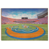 Florida Gators - Gators Mid Field - College Wall Art #Wood