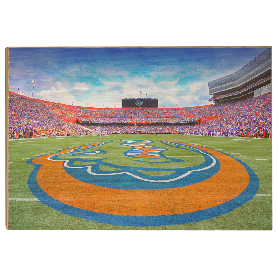 Florida Gators - Gators Mid Field - College Wall Art #Canvas