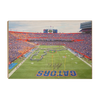 Florida Gators - Pride of the Sunshine- College Wall Art #Wood