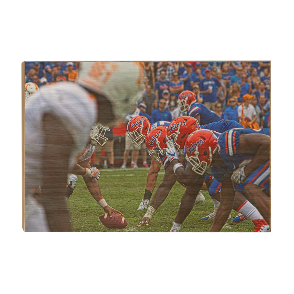 Florida Gators - Gator Line - College Wall Art #Canvas