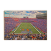 Florida Gators - Steve Spurrier Field - College Wall Art #Wood