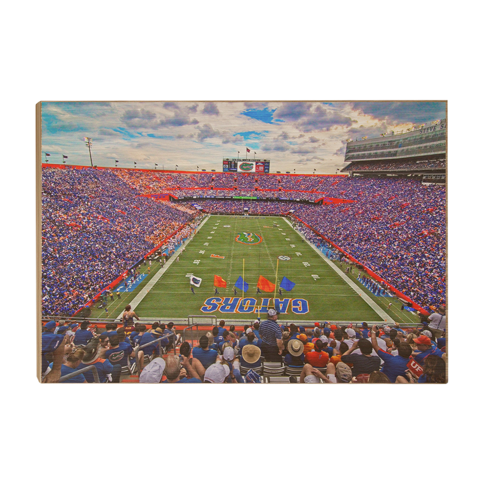 Florida Gators - Steve Spurrier Field - College Wall Art #Canvas