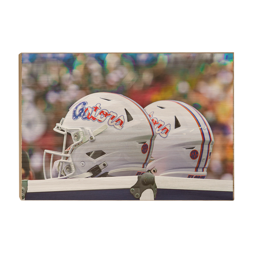 Florida Gators - USA Helmets - College Wall Art #Canvas