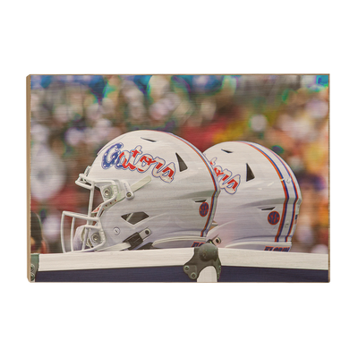 Florida Gators - USA Helmets - College Wall Art #Wood