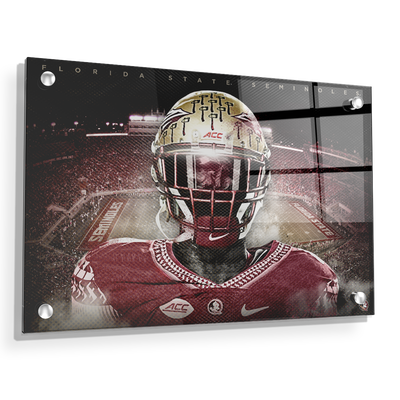 Florida State Seminoles - Seminole - College Wall Art #Acrylic