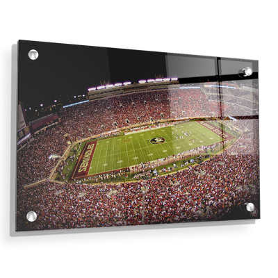 Florida State Seminoles - Doak - College Wall Art #Acrylic