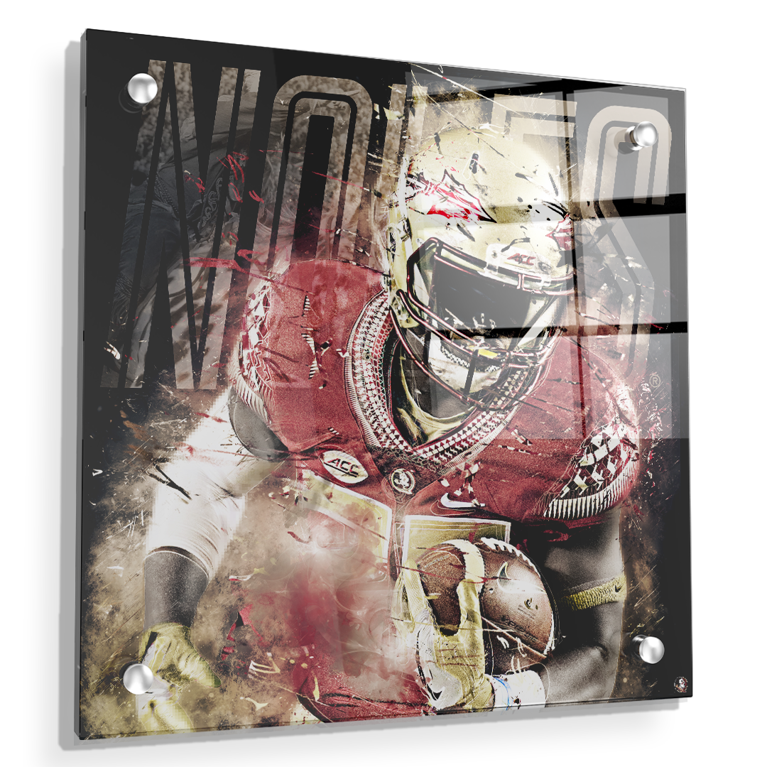 Florida State Seminoles - Noles - College Wall Art #Canvas