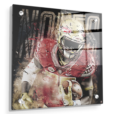 Florida State Seminoles - Noles - College Wall Art #Acrylic