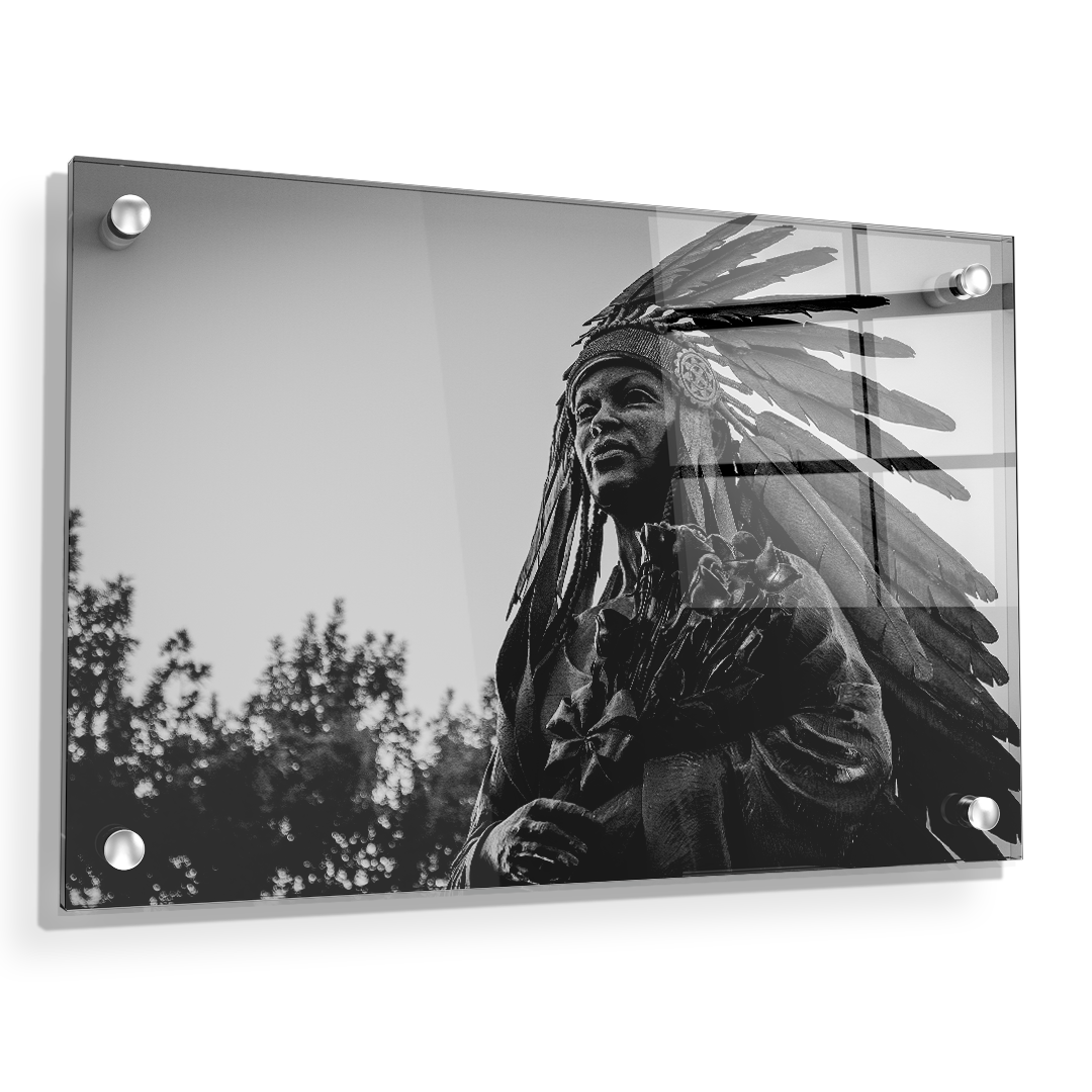 Florida State Seminoles - Integration Statue Seminole - College Wall Art #Canvas