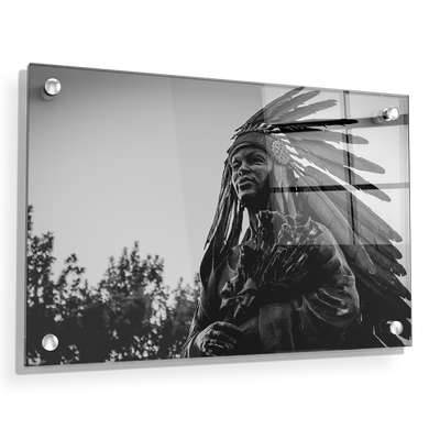 Florida State Seminoles - Integration Statue Seminole - College Wall Art #Acrylic